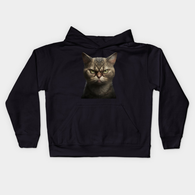 Funny Annyoyed Cat Face, Love Cats Kids Hoodie by logiamerch