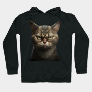 Funny Annyoyed Cat Face, Love Cats Hoodie