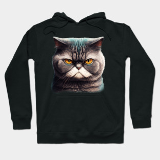 Funny Annyoyed Cat Face, Love Cats Hoodie