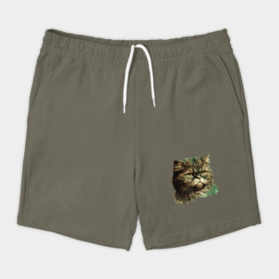 Funny Annyoyed Cat Face, Love Cats Shorts