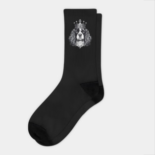 Cavalier King Charles Spaniel Dog wearing a crown Socks