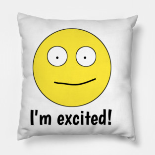I'm excited ! Pillow