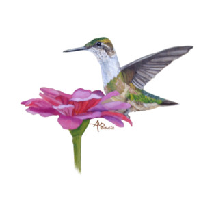 My Sweet Name T-Shirt