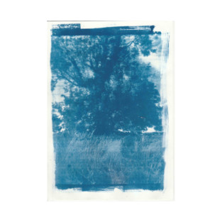 Tree Cyanotype T-Shirt