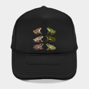 Frogs, Tropical Animal, Love Frogs Hat