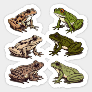 Frogs, Tropical Animal, Love Frogs Magnet