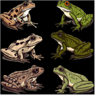Frogs, Tropical Animal, Love Frogs Posters and Art