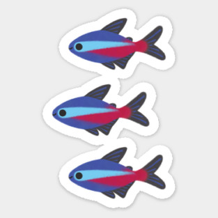 cardinal tetra Sticker