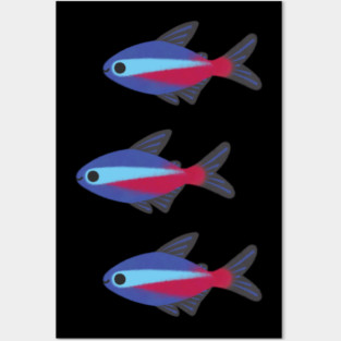 cardinal tetra Posters and Art