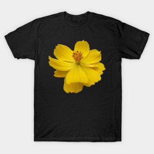 yellow flower, flowers, nature, blooms, garden T-Shirt