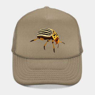 Colorado Potato Beetle Hat