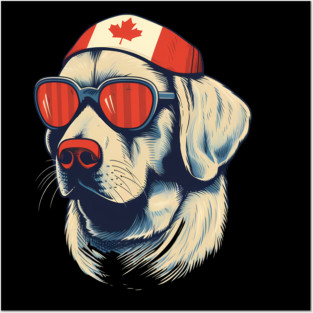 Golden retirever with Maple leafs Canada Flag Posters and Art
