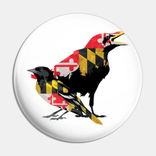 Birds of Maryland Pin