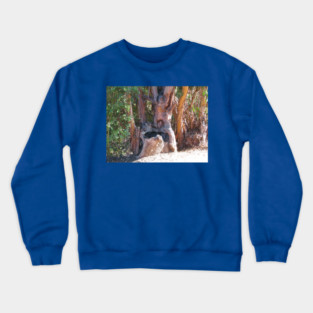 If trees could talk Crewneck Sweatshirt
