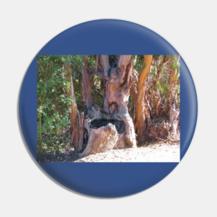 If trees could talk Pin