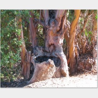 If trees could talk Posters and Art