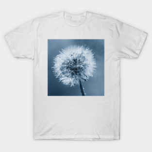 Making Wishes T-Shirt