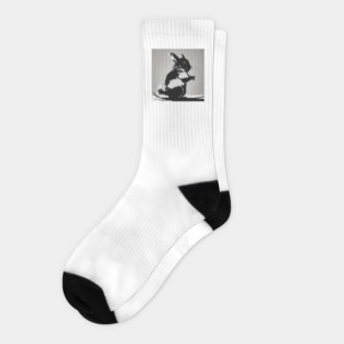 Chinchillas Shadow Silhouette Anime Style Collection No. 14 Socks