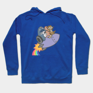 The sky is beautiful, and it is forever Hoodie