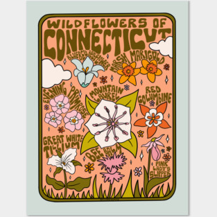 Connecticut Wildflowers Posters and Art