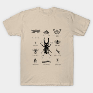 Bugs Beetles Insects T-Shirt