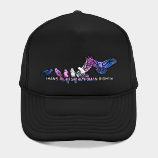 Trans Rights Crows Hat