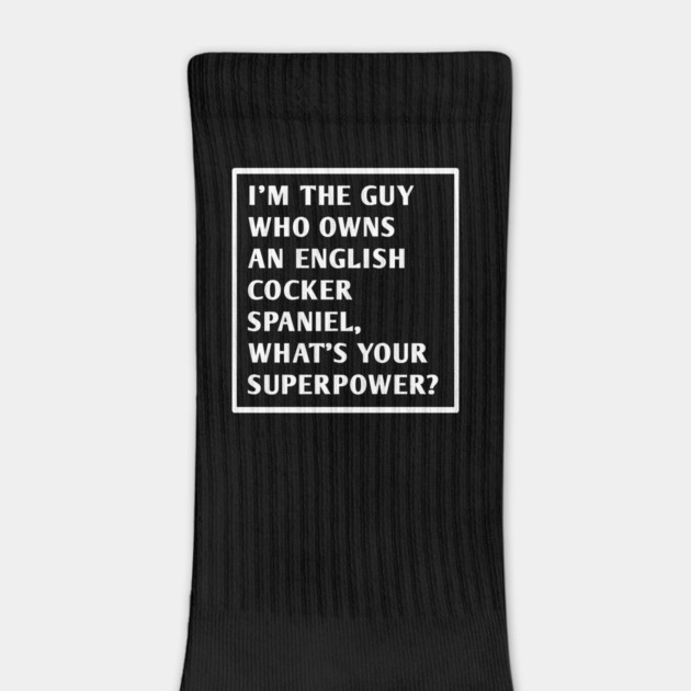 English cocker spaniel by BlackMeme94