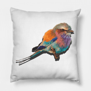 colorful Bird Pillow