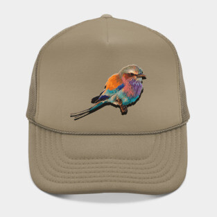 colorful Bird Hat
