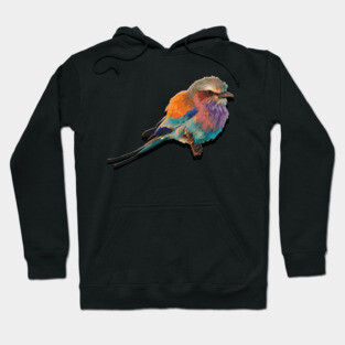 colorful Bird Hoodie