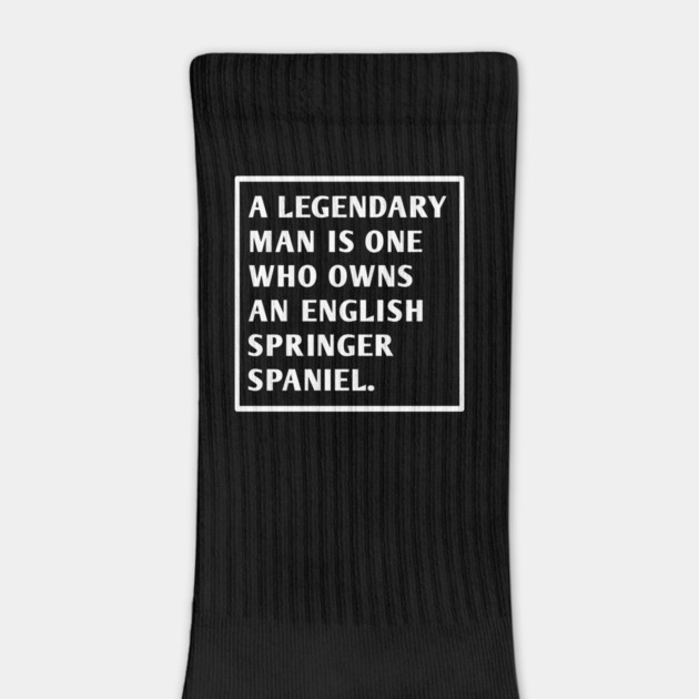 English Springer spaniel by BlackMeme94