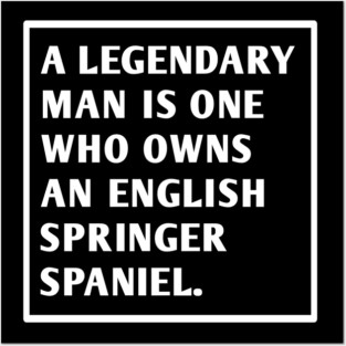 English Springer spaniel Posters and Art