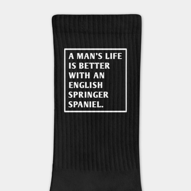 English Springer spaniel by BlackMeme94