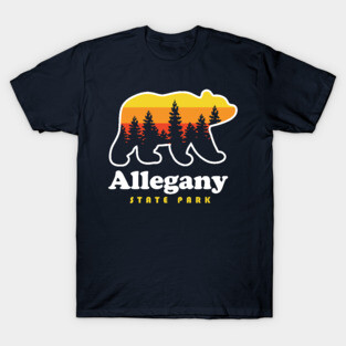 Allegany State Park New York T-Shirt
