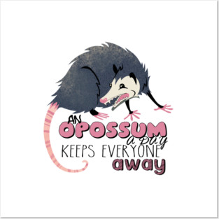 opossum Posters and Art