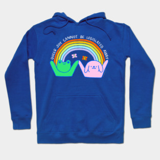 Queer Joy Cannot Be Legislated Away - The Peach Fuzz Hoodie