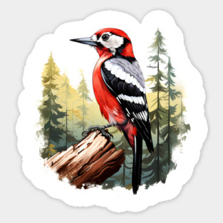 Woodpecker Sticker