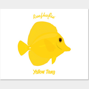 Yellow Tang Posters and Art