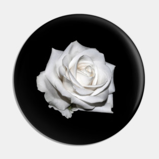 Single White Blooming Rose Pin