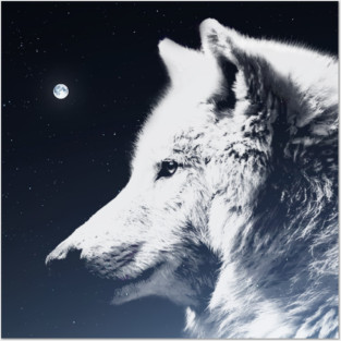 White Wolf Posters and Art