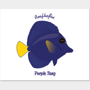 Purple Tang Posters and Art