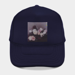 P C L Hat