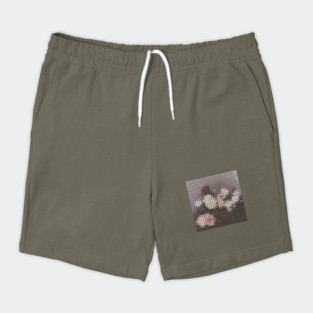 P C L Shorts