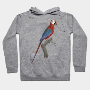 Red and Green Macaw Parrot - L' Ara Macao - Jacques Barraband 19th century Illustration Hoodie