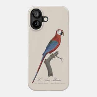 Red and Green Macaw Parrot - L' Ara Macao - Jacques Barraband 19th century Illustration Phone Case
