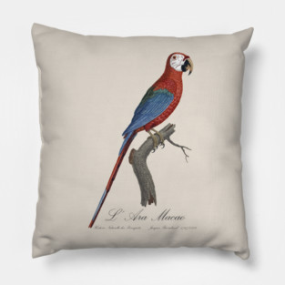 Red and Green Macaw Parrot - L' Ara Macao - Jacques Barraband 19th century Illustration Pillow