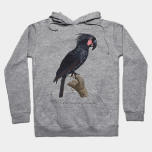 Palm Cockatoo Parrot / L' Ara Noir a Trompe - Jacques Barraband 19th century Illustration Hoodie