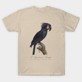 Palm Cockatoo Parrot / L' Ara Noir a Trompe - Jacques Barraband 19th century Illustration T-Shirt