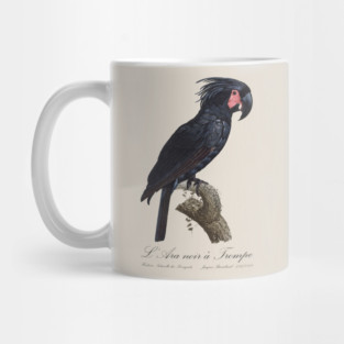Palm Cockatoo Parrot / L' Ara Noir a Trompe - Jacques Barraband 19th century Illustration Mug