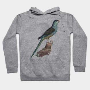 La Perruche Ingambe Parakeet - Jacques Barraband 19th century Illustration Hoodie